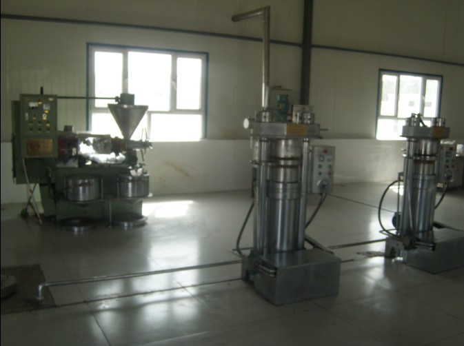 Сե͙C(j)a(chn)F(xin)